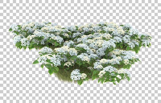 Campo de hierba con flores sobre fondo transparente. Representación 3d - ilustración
