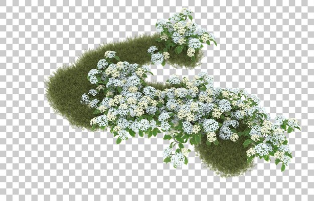 Campo de hierba con flores sobre fondo transparente. Representación 3d - ilustración