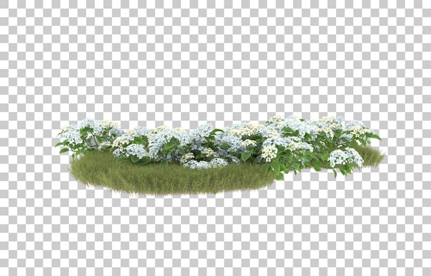 Campo de hierba con flores sobre fondo transparente. Representación 3d - ilustración