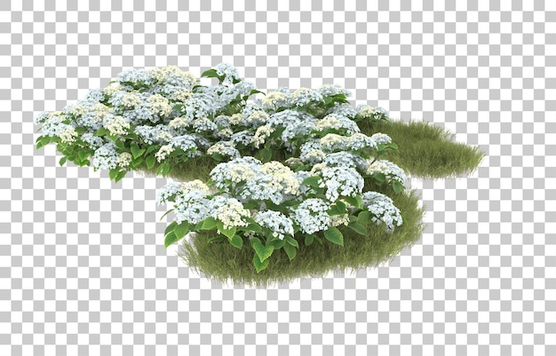 Campo de hierba con flores sobre fondo transparente. Representación 3d - ilustración