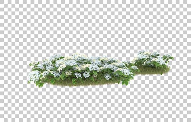 Campo de hierba con flores sobre fondo transparente. Representación 3d - ilustración
