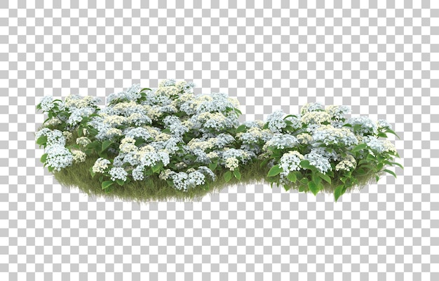 Campo de hierba con flores sobre fondo transparente. Representación 3d - ilustración