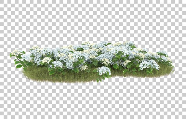 Campo de hierba con flores sobre fondo transparente. Representación 3d - ilustración