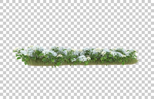 Campo de hierba con flores sobre fondo transparente. Representación 3d - ilustración
