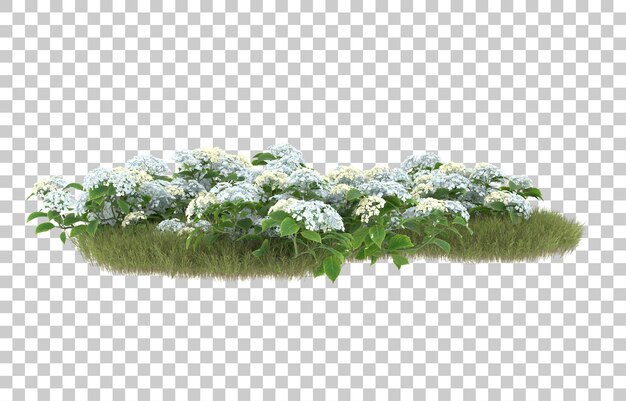 Campo de hierba con flores sobre fondo transparente. Representación 3d - ilustración