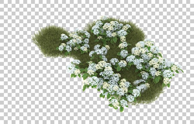 Campo de hierba con flores sobre fondo transparente. Representación 3d - ilustración