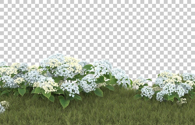 Campo de hierba con flores sobre fondo transparente. Representación 3d - ilustración