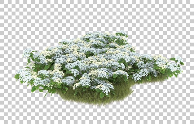 Campo de hierba con flores sobre fondo transparente. Representación 3d - ilustración