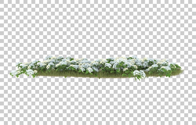 Campo de hierba con flores sobre fondo transparente. Representación 3d - ilustración