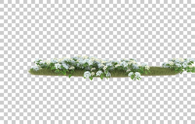 Campo de hierba con flores sobre fondo transparente. Representación 3d - ilustración