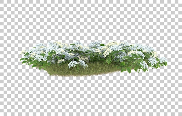 Campo de hierba con flores sobre fondo transparente. Representación 3d - ilustración