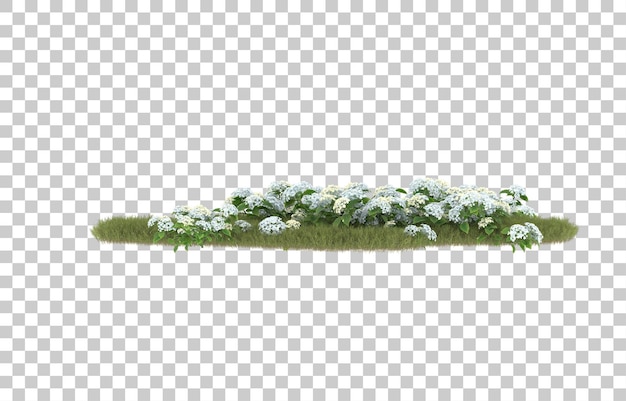 Campo de hierba con flores sobre fondo transparente. Representación 3d - ilustración