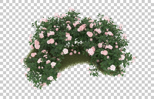 Campo de hierba con flores sobre fondo transparente. Representación 3d - ilustración