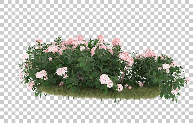 Campo de hierba con flores sobre fondo transparente. Representación 3d - ilustración