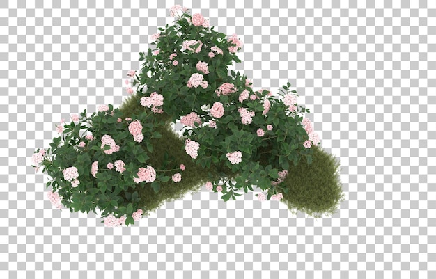 Campo de hierba con flores sobre fondo transparente. Representación 3d - ilustración