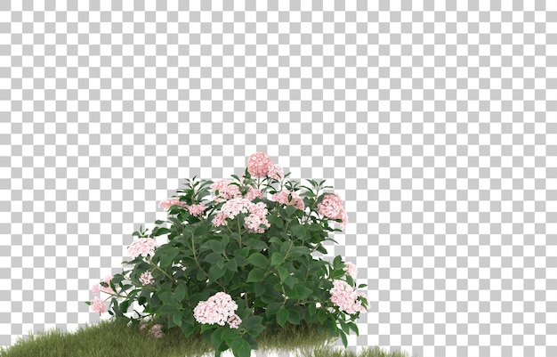 Campo de hierba con flores sobre fondo transparente. Representación 3d - ilustración