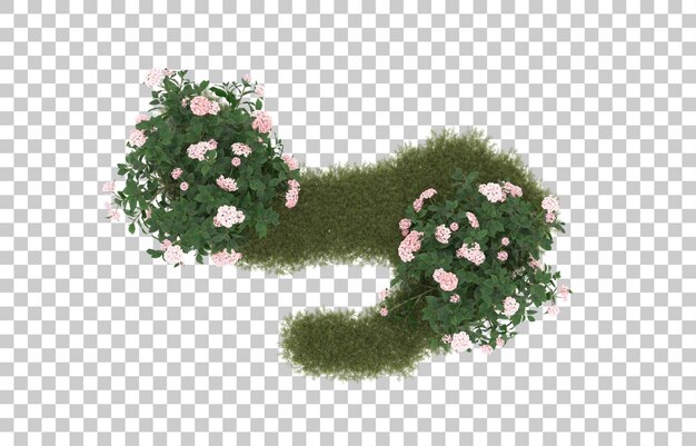 Campo de hierba con flores sobre fondo transparente. Representación 3d - ilustración