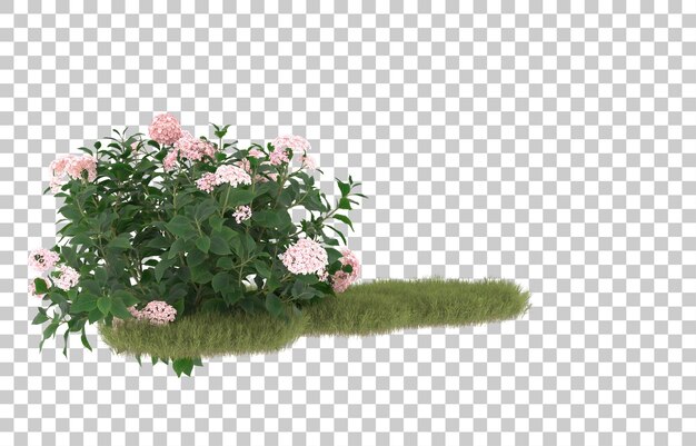 Campo de hierba con flores sobre fondo transparente. Representación 3d - ilustración