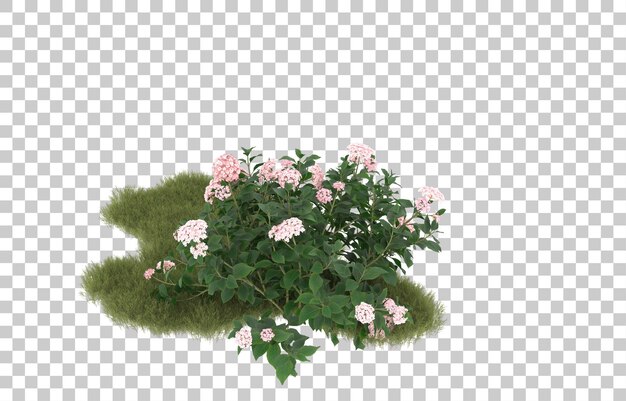 Campo de hierba con flores sobre fondo transparente. Representación 3d - ilustración