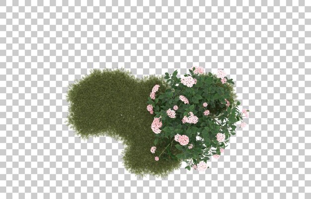 Campo de hierba con flores sobre fondo transparente. Representación 3d - ilustración