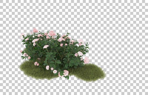 Campo de hierba con flores sobre fondo transparente. Representación 3d - ilustración