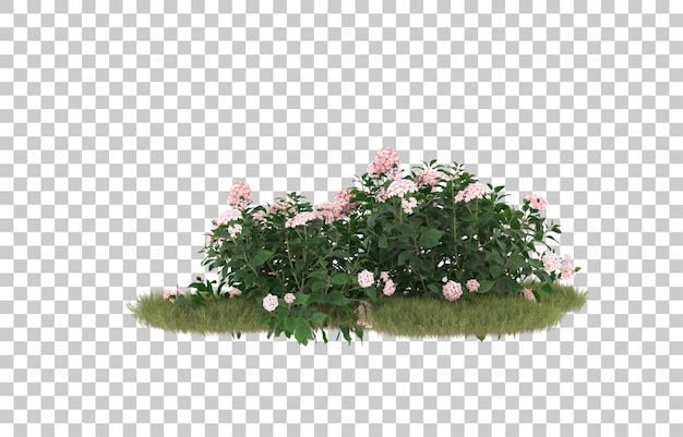 Campo de hierba con flores sobre fondo transparente. Representación 3d - ilustración