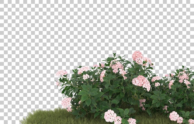Campo de hierba con flores sobre fondo transparente. Representación 3d - ilustración