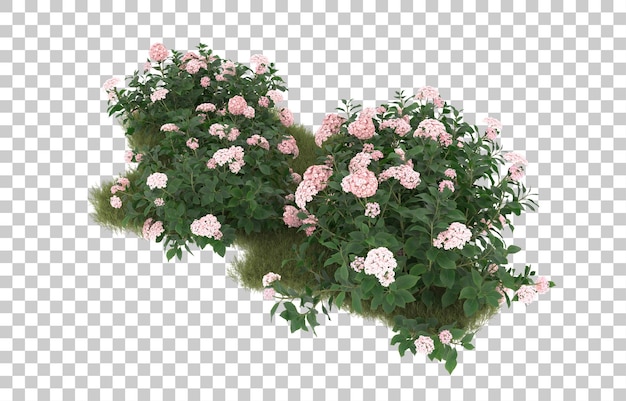 Campo de hierba con flores sobre fondo transparente. Representación 3d - ilustración
