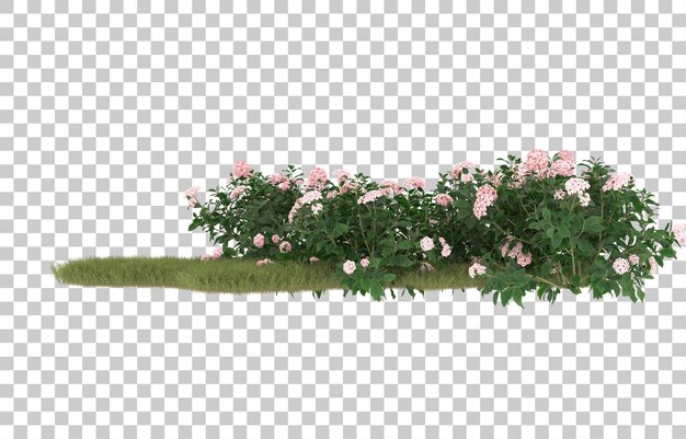 Campo de hierba con flores sobre fondo transparente. Representación 3d - ilustración