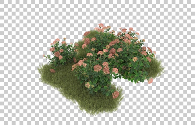 Campo de hierba con flores sobre fondo transparente. Representación 3d - ilustración