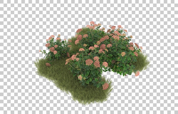 Campo de hierba con flores sobre fondo transparente. representación 3d - ilustración