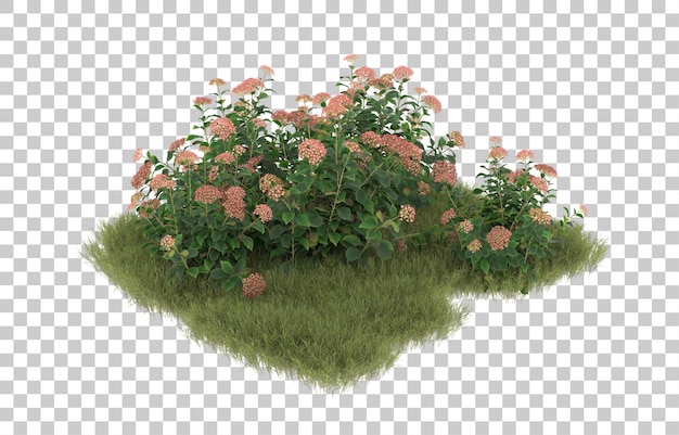 Campo de hierba con flores sobre fondo transparente. Representación 3d - ilustración