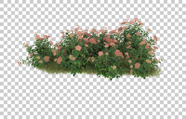 Campo de hierba con flores sobre fondo transparente. Representación 3d - ilustración