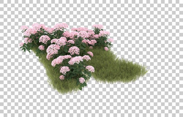 Campo de hierba con flores sobre fondo transparente. Representación 3d - ilustración
