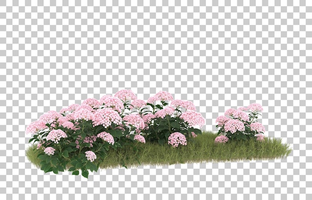 Campo de hierba con flores sobre fondo transparente. Representación 3d - ilustración
