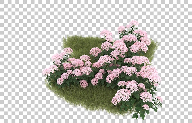 Campo de hierba con flores sobre fondo transparente. Representación 3d - ilustración