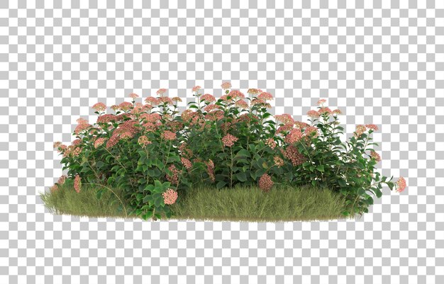 Campo de hierba con flores sobre fondo transparente. Representación 3d - ilustración