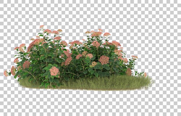 Campo de hierba con flores sobre fondo transparente. Representación 3d - ilustración