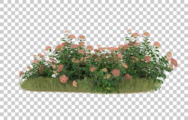 Campo de hierba con flores sobre fondo transparente. Representación 3d - ilustración