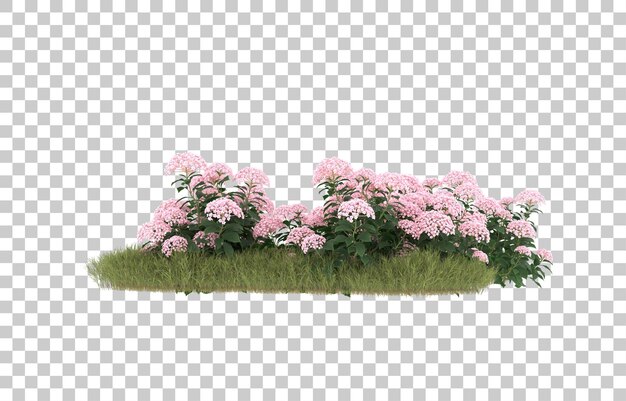 Campo de hierba con flores sobre fondo transparente. Representación 3d - ilustración
