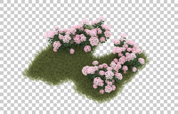 Campo de hierba con flores sobre fondo transparente. representación 3d - ilustración