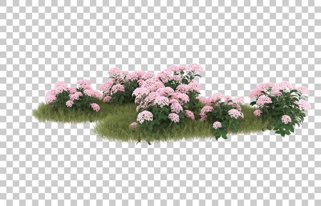 Campo de hierba con flores sobre fondo transparente. Representación 3d - ilustración