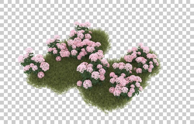 Campo de hierba con flores sobre fondo transparente. Representación 3d - ilustración