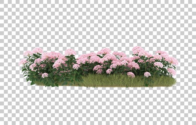 Campo de hierba con flores sobre fondo transparente. Representación 3d - ilustración