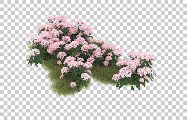 Campo de hierba con flores sobre fondo transparente. Representación 3d - ilustración
