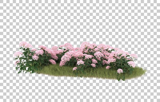 Campo de hierba con flores sobre fondo transparente. Representación 3d - ilustración