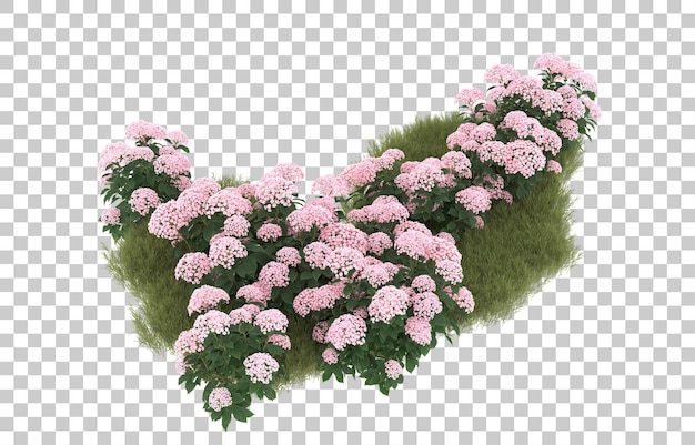 Campo de hierba con flores sobre fondo transparente. Representación 3d - ilustración