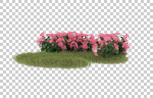 Campo de hierba con flores sobre fondo transparente. Representación 3d - ilustración