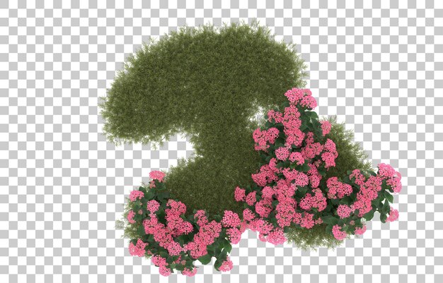 Campo de hierba con flores sobre fondo transparente. Representación 3d - ilustración