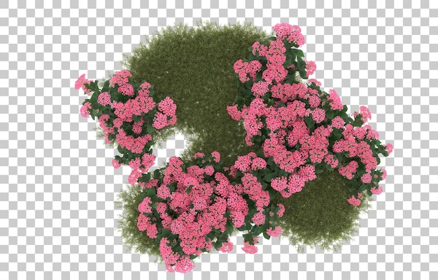 Campo de hierba con flores sobre fondo transparente. Representación 3d - ilustración